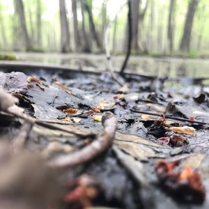 Meet your Posher, Wade